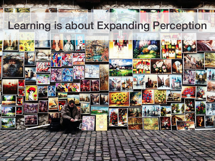 Learning is about Expanding Perception