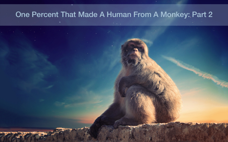 One Percent That Made A Human From A Monkey: Part 2