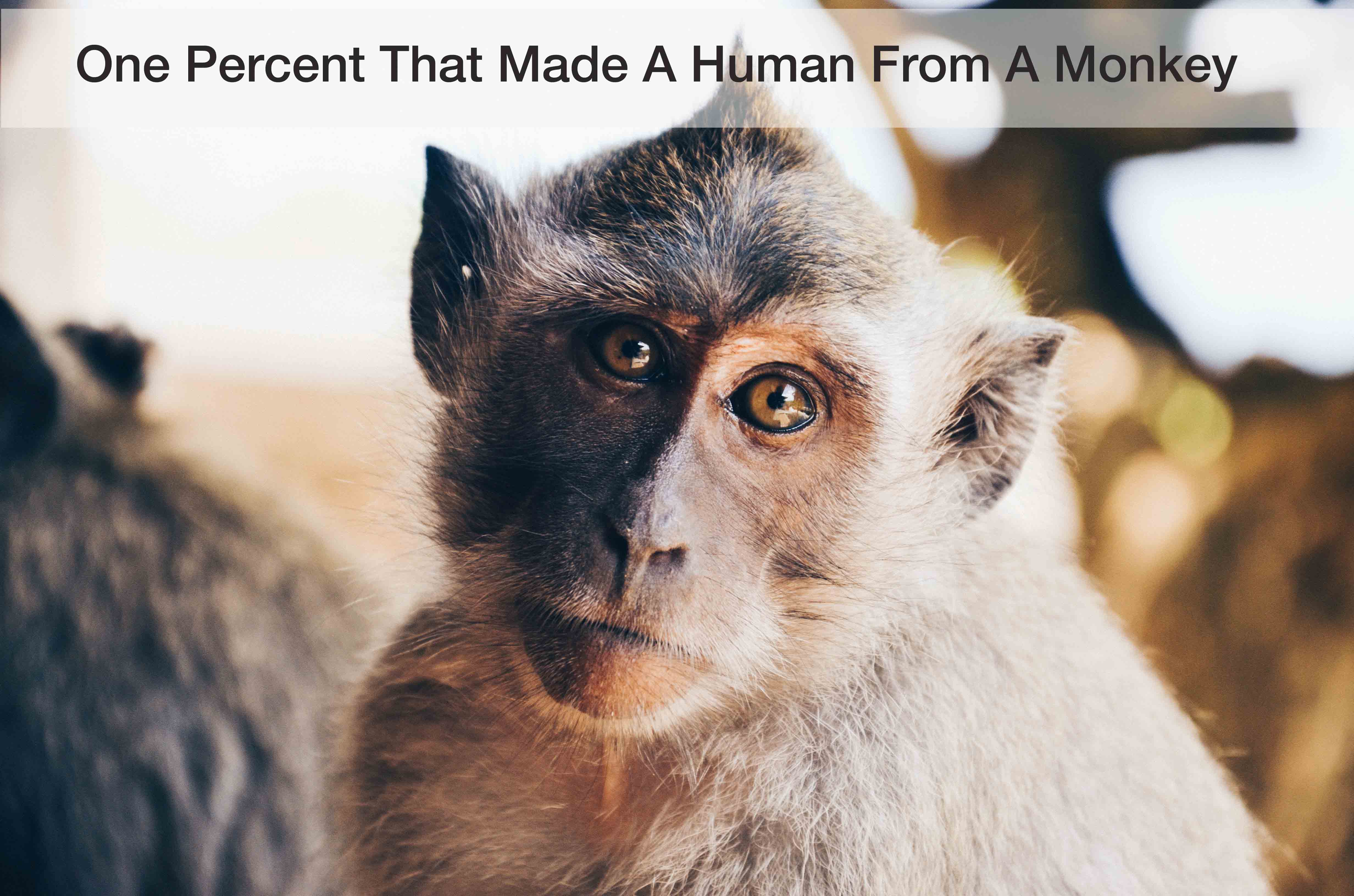 One Percent That Made A Human From A Monkey: Part 1